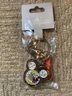 香港ディズニーランド　キーホルダー