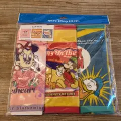 ディズニー ミニタオルセット