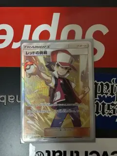 レッドの挑戦　sr