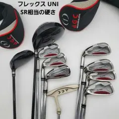 【希少】AGCアイアンTZ-460 & ウッドセット10本