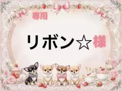 専用