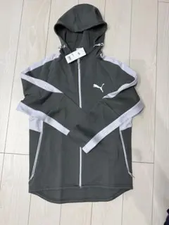 Item thumbnail for item b2a0ff5f-dc7d-404b-ad33-a4b210fdce3d