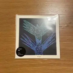 折坂悠太「朝顔」新品未使用