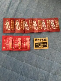 金氏高麗人参 ★神秘の健康力★ 高麗人参サンプルセット　10袋