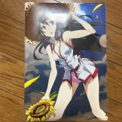 アカメが斬る！　秋葉原　クリアファイル　葬る。 m32381675637_1.jpg?1730612769