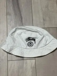 Item thumbnail for item 445e4108-e255-418a-878e-3688fbe16159