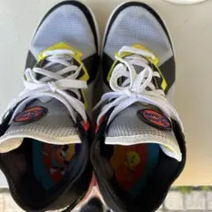 ナイキ　NIKE TUNESQUAD LEBRON 18 LOW 27.5㎝