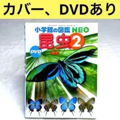 【良品】小学館の図鑑NEO　昆虫 2　DVD付属　（新版）