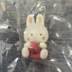 いちごフレンズ チアリーチャム