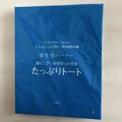 雑誌付録 資生堂 トートバッグ Wポケット付き