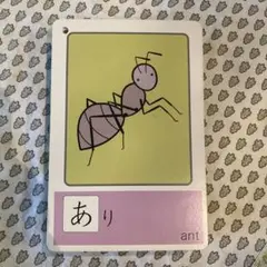知育カードセット（ひらがなカード）