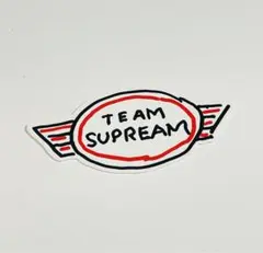 2022FW supreme ステッカー ″チームシュプリーム″