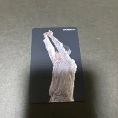 ウォヌ トレカ seventeen 舞い落ちる花びら HMV 特典