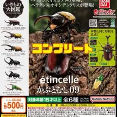 いきもの大図鑑 かぶとむし09 全６種　コンプリート　コンプ