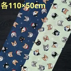 Item thumbnail for item 48a4a835-4181-47b5-b70c-ba6dba2f06f1