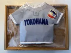 超希少！【2025年夏新作】横浜高校 ドリンクホルダー 公式 新品未使用