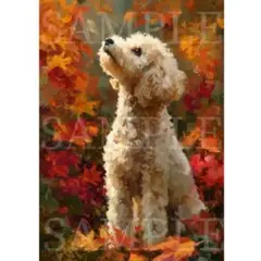 P095 紅葉を見上げるトイプードル② A4サイズ オリジナルアート 犬 絵画
