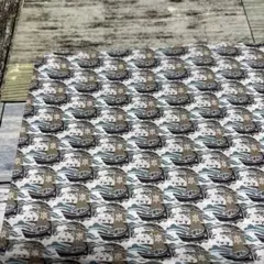 リバティ 生地幅半分×20cm