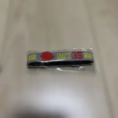 Item thumbnail for item 8d086b21-c9df-40b2-ad2b-bc504f07179c