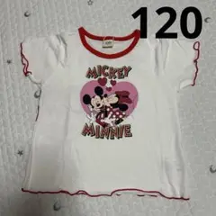 新品　リトシー ミニー Tシャツ 120サイズ