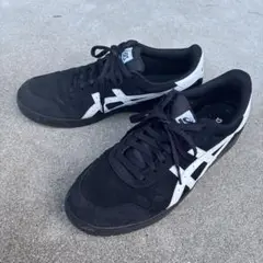 アシックス JAPAN Pro asics 29.0cm