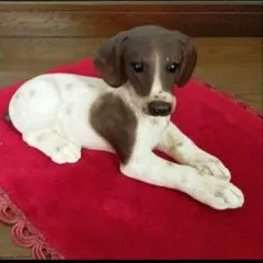 Castagna 犬の置物 茶色と白☆