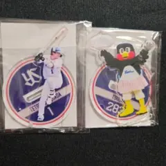 山田哲人　つばみ　アクリルスタンド