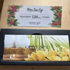 OLIVE SPA オリーブスパ トリートメント ギフト 2枚セット OLIVE SPA オリーブスパ トリートメント ギフト 2枚セット