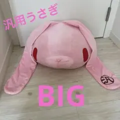 グルーミー 汎用うさぎBIGフェイスぬいぐるみ　チャックス　GP