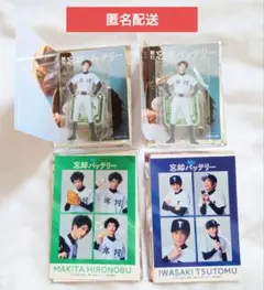 Item thumbnail for item dc66cbf8-5b13-4b0a-9d05-55265ee96f30