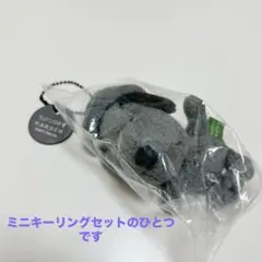 スヌーピーフェスティバル　スヌーピーガーデン　マスコット　ミニキーリング