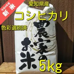 【生活応援キャンペーン200g増量中! R4年新米 こしひかり】白米5kg