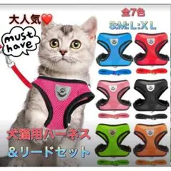 ハーネス ブルーXL 散歩 リード 首輪 犬 猫 防災 ペット 災害時 人気