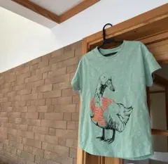 アヒルイラストTシャツ（ミントグリーン）