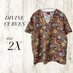 DIVINE CURVES カラフルチュニック 2X レディース 半袖