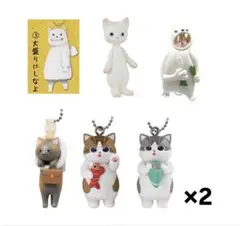 Item thumbnail for item db6ee8ef-8ebc-4f43-923a-63f20dd90801