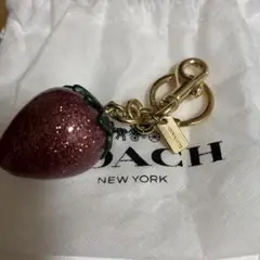 【COACH】コーチ/ストロベリーチャーム /限定カラー /正規品 公式】コーチアウトレット | ストロベリー バッグ チャーム