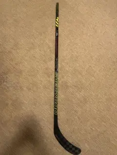 シャーウッドレッカーレジョンドプロ