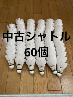 Item thumbnail for item 37512154-4a56-4f4d-b306-6fb67e655fb3