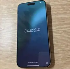 【極美品】 iPhone 16 Pro Max 256GB ホワイトチタニウム