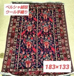 Item thumbnail for item 51893709-83de-4dd6-b51c-89e942dd2c7a