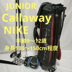 Item thumbnail for item 8492f9cd-2b34-48e3-98de-66e23a2c9d56