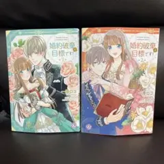 婚約破棄が目標です！ 全2巻セット