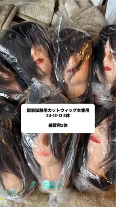 Item thumbnail for item 33db0ef8-bb9c-40fb-9bb4-fa9dc56971b5