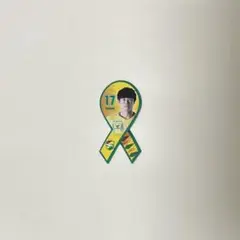ジェフ千葉 シークレットプチリボンマグネット 林誠道