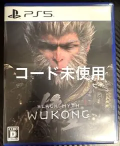【PS5】 黒神話：悟空　コード未使用