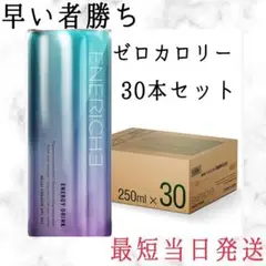 早い者勝ち❤️ENERICHE エネリッシュ エナジードリンク 250ml30本