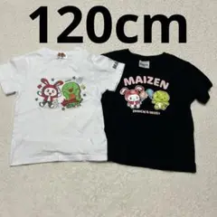 120cm 男の子 女の子 半袖Tシャツ まいぜんシスターズ まとめ売り 2枚