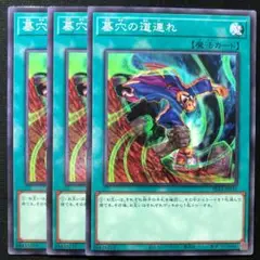 墓穴の道連れ 3枚