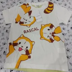 ラスカル Tシャツ 120cm